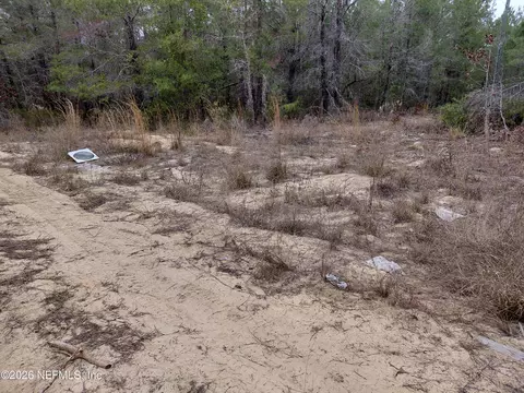 0 Oak Ter, Interlachen, FL 32148 photo 8