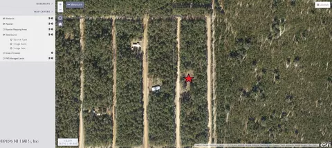 1118 Selma Ave, Florahome, FL 32140 photo 8