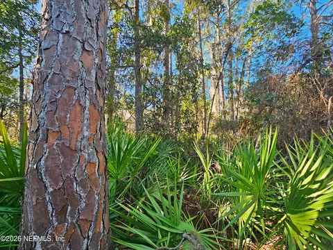 127 Roebuck St, Georgetown, FL 32139 photo 17