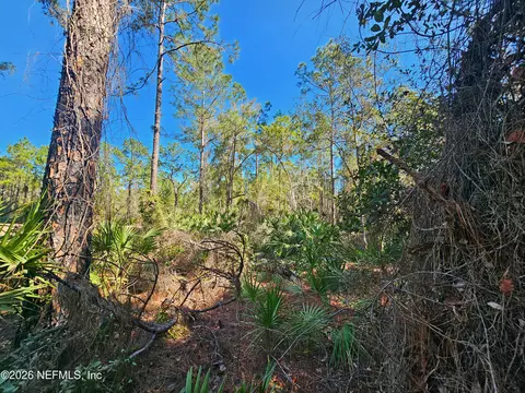 127 Roebuck St, Georgetown, FL 32139 photo 19