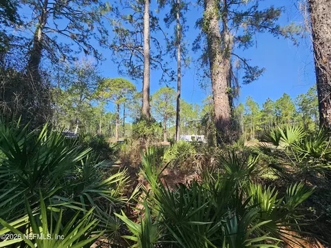 127 Roebuck St, Georgetown, FL 32139 photo 12