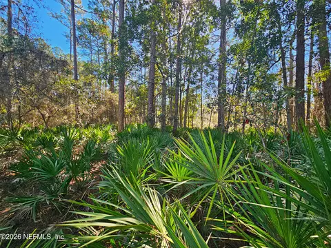 127 Roebuck St, Georgetown, FL 32139 photo 18