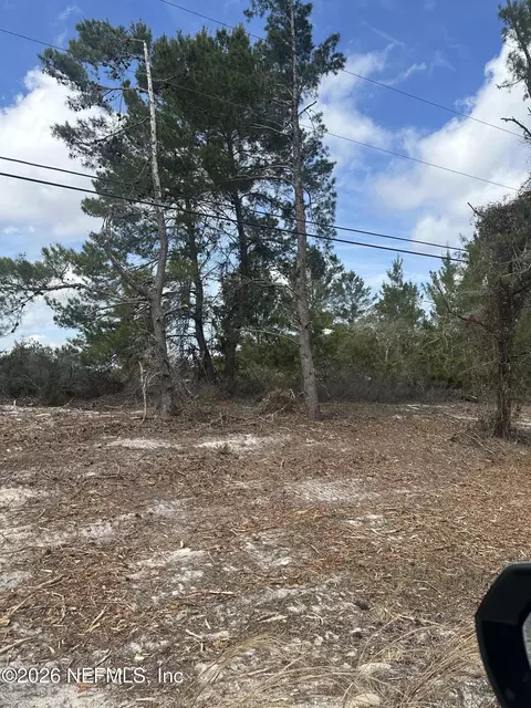 0 Pettit Rd, Crescent City, FL 32112