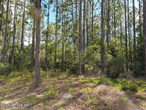 0 Cr 218 Pasafino Rd, Green Cove Springs, FL 32043
