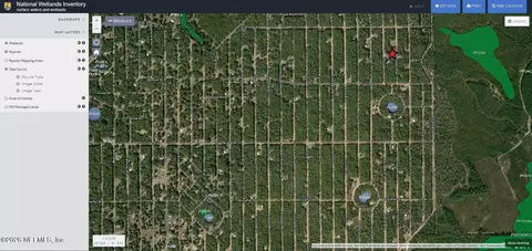0 Norman Ave, Interlachen, FL 32148 photo 10