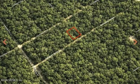 0 Delaware Ter, Interlachen, FL 32148 photo 2