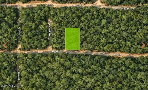 0 Nell Rd, Interlachen, FL 32148 photo 3