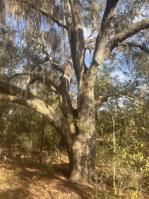 0 W Lake Dr, Hawthorne, FL 32640