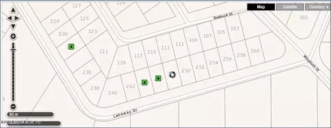 248 Lakeway Dr, Georgetown, FL 32139