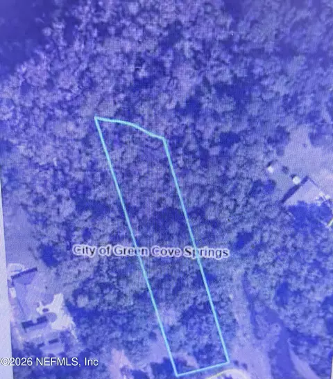 1302 East St, Green Cove Springs, FL 32043