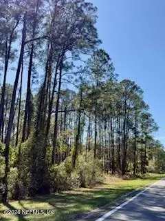 251 Georgetown Denver Rd, Georgetown, FL 32139