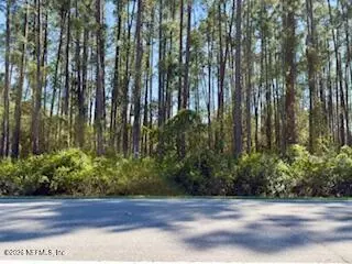 251 Georgetown Denver Rd, Georgetown, FL 32139 photo 4
