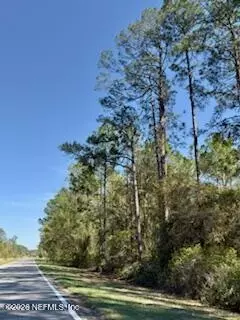 251 Georgetown Denver Rd, Georgetown, FL 32139 photo 2