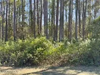 251 Georgetown Denver Rd, Georgetown, FL 32139 photo 3