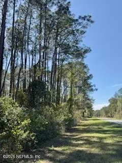 251 Georgetown Denver Rd, Georgetown, FL 32139 photo 5