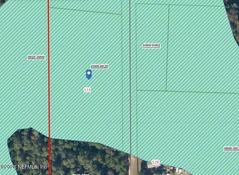 131 Phillips Rd, Florahome, FL 32140 photo 3