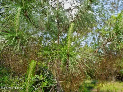 5371 Church Rd, Saint Augustine, FL 32092 photo 27