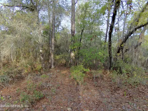 111 Brass St, Interlachen, FL 32148 photo 9