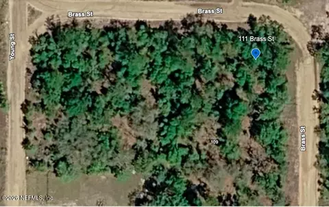 111 Brass St, Interlachen, FL 32148 photo 2