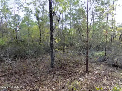111 Brass St, Interlachen, FL 32148 photo 6