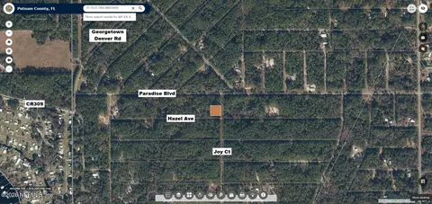 140 Hazel Ave, Georgetown, FL 32139 photo 2