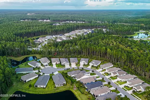View/Area - 106 Key Grass Ct, Saint Johns, FL 32259 photo 5 of 18