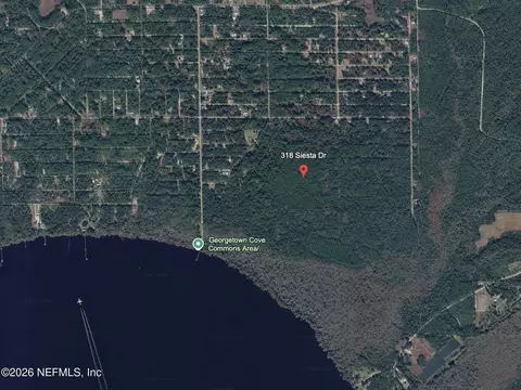 318 Siesta Dr, Georgetown, FL 32139