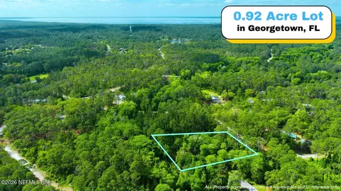 102 Hyacinth Ct, Georgetown, FL 32139