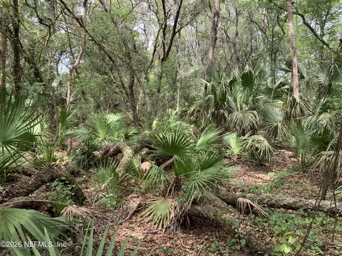 00 Old Woods Rd, Interlachen, FL 32148