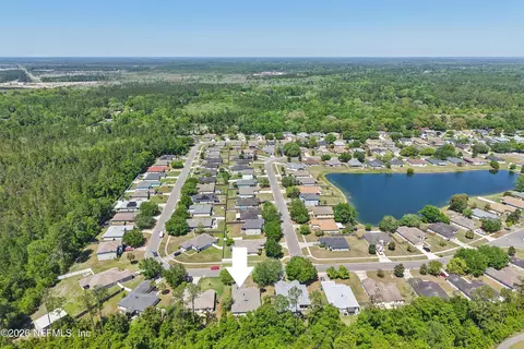 View/Area - 86648 Cartesian Pointe Dr, Yulee, FL 32097 photo 3 of 3