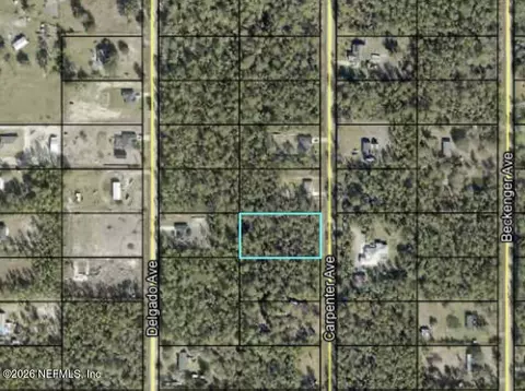 10265 Carpenter Ave, Hastings, FL 32145