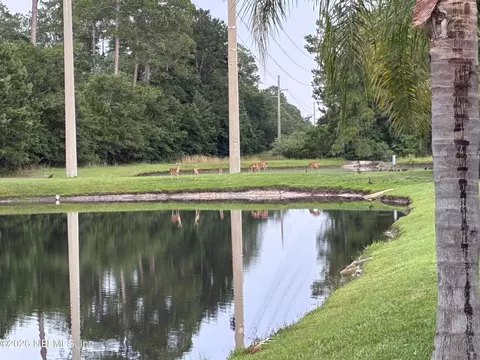 Other - 308 Diana Ct, Saint Augustine, FL 32092 photo 28 of 28