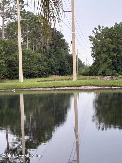 View/Area - 308 Diana Ct, Saint Augustine, FL 32092 photo 8 of 8