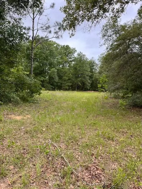 0 Milton Ave, Interlachen, FL 32148