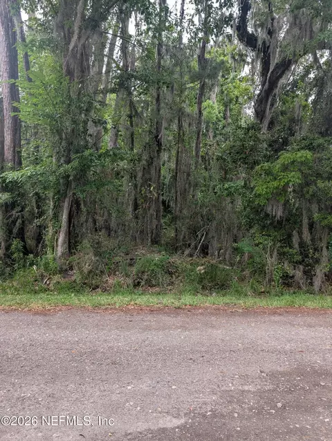 5235 Chicory Cir, Middleburg, FL 32068