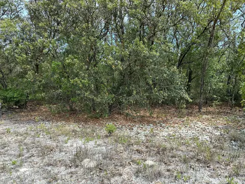 00 Donovan Ave, Interlachen, FL 32148 photo 6
