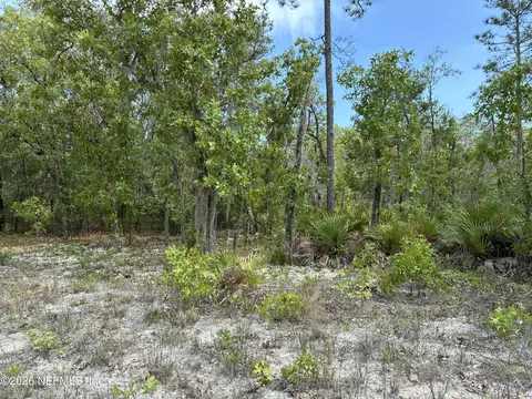 00 Donovan Ave, Interlachen, FL 32148 photo 4