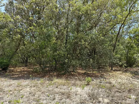00 Donovan Ave, Interlachen, FL 32148 photo 8