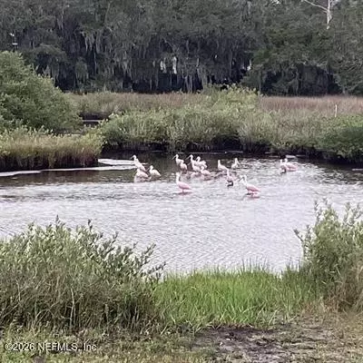 Other - 27 Oak St, Saint Augustine, FL 32084 photo 8 of 14