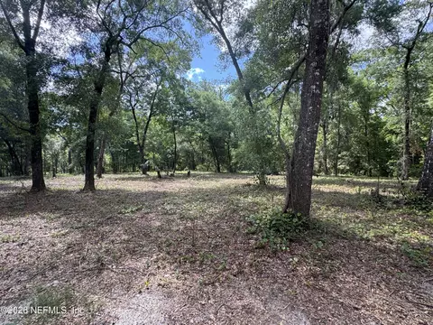 241 Indian Lakes Forest Rd, Florahome, FL 32140
