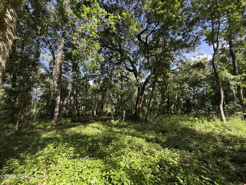 241 Indian Lakes Forest Rd, Florahome, FL 32140