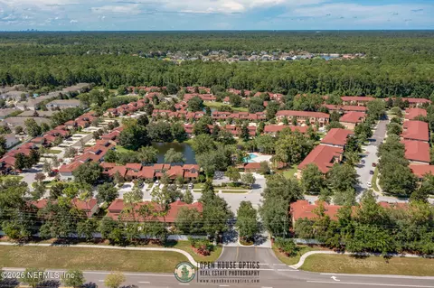 View/Area - 742 Ginger Mill Dr, Saint Johns, FL 32259 photo 10 of 11