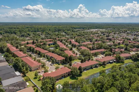 View/Area - 742 Ginger Mill Dr, Saint Johns, FL 32259 photo 9 of 10