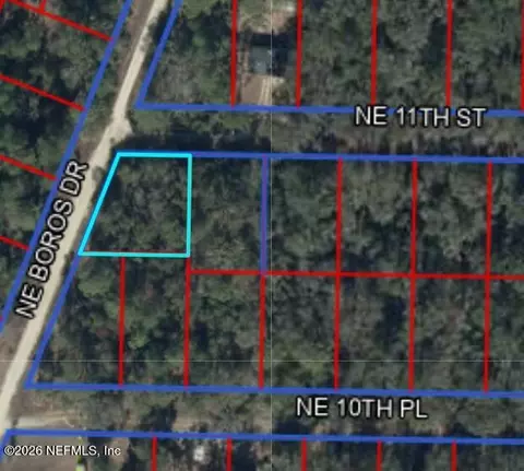 tbd NE 11th St, Williston, FL 32696