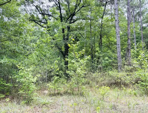 0 Lake Hampton, Hilliard, FL 32046 photo 8