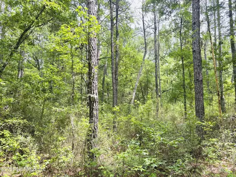 0 Lake Hampton, Hilliard, FL 32046 photo 19