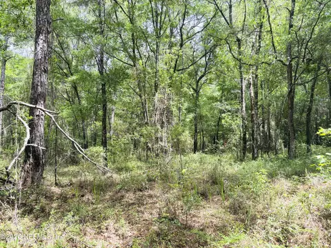 0 Lake Hampton, Hilliard, FL 32046 photo 15