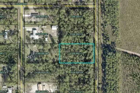 10225 Amos Ave, Hastings, FL 32145