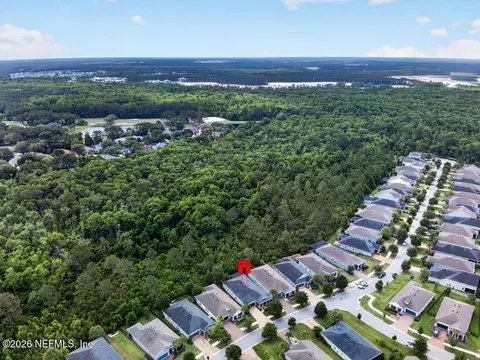 View/Area - 209 Rivercliff Trl, Saint Augustine, FL 32092 photo 14 of 20