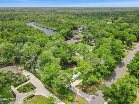 View/Area - 86183 Meadowfield Bluffs Rd, Yulee, FL 32097 photo 3 of 11